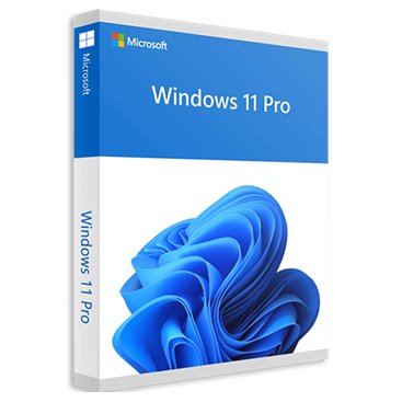 Windows 11 PRO 64 bits ESD online FQC-10572