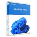 Windows 11 PRO 64 bits ESD online FQC-10572