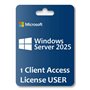 CAL 1 Windows 2025 server English OEM USER EP2-25261