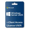 CAL 1 Windows 2025 server English OEM USER EP2-25261