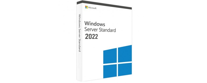 WIndows 2022 server STD UK DVD OEM 16C